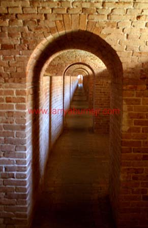 Fort Pickins