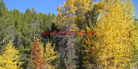 IMG_3643-1
