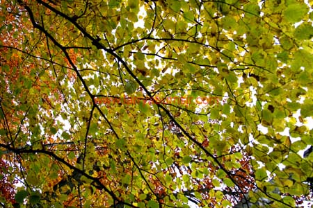 IMG_4866